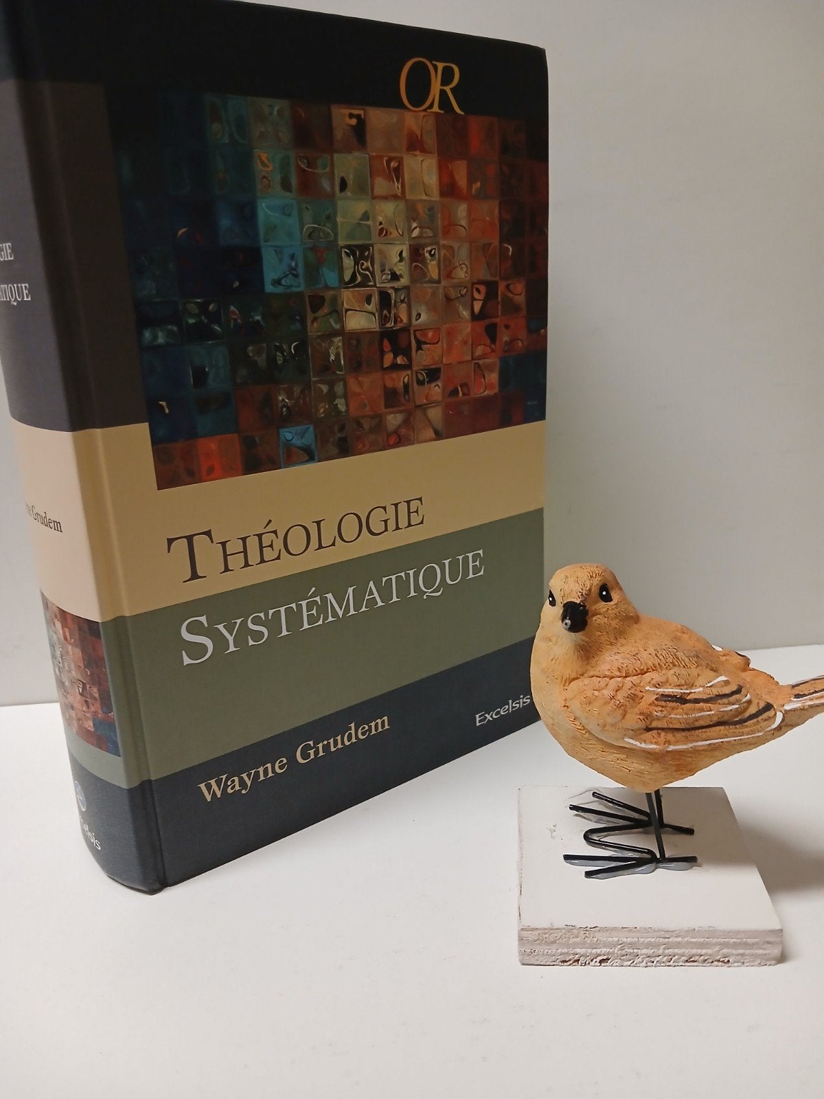Grudem, Wayne; Theologie Systematique, Boeken, Ophalen of Verzenden, Gelezen, Christendom | Protestants