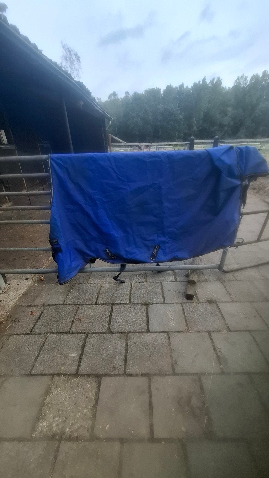 amigo regendeken 195cm, Dieren en Toebehoren, Ophalen of Verzenden