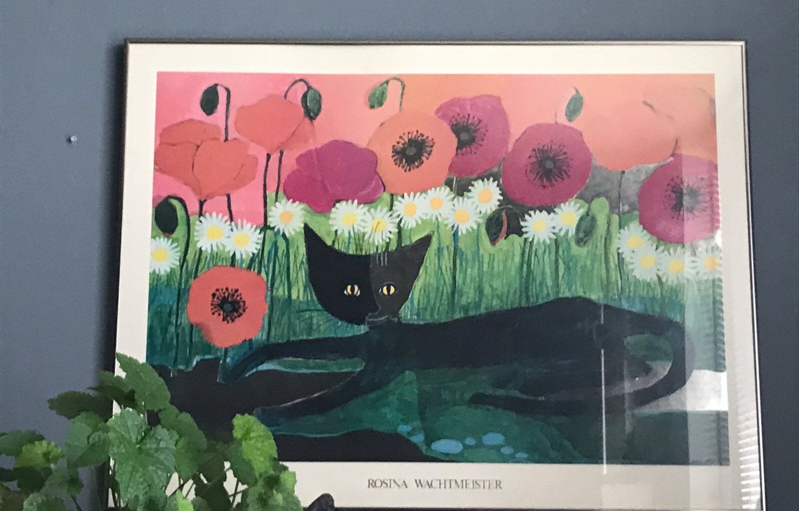 Rosina Wachtmeister Black cat Originale, Ophalen, Schilderij