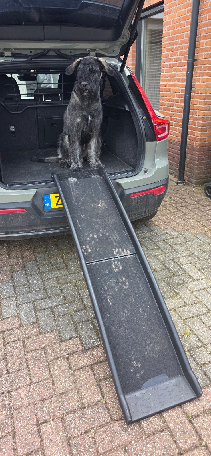 Loopplank hond, Ophalen
