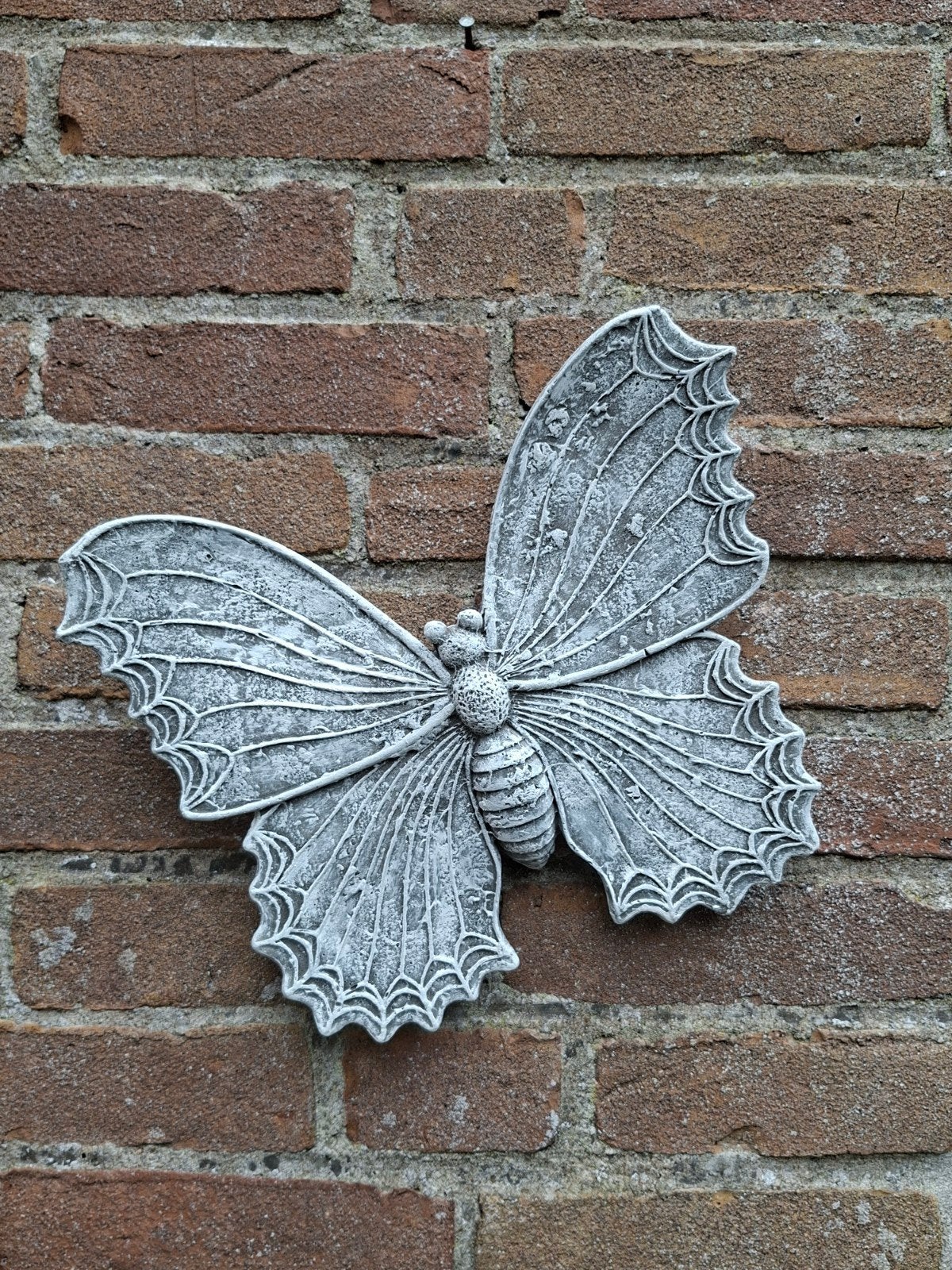 Vlinder wanddecoratie betonnen beeld tuinbeeld beton, Ophalen of Verzenden