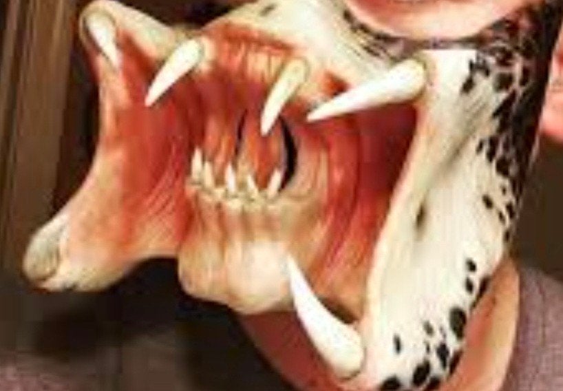 nieuw Predator Latex masker, Ophalen of Verzenden, Nieuw, Halloween of Griezel