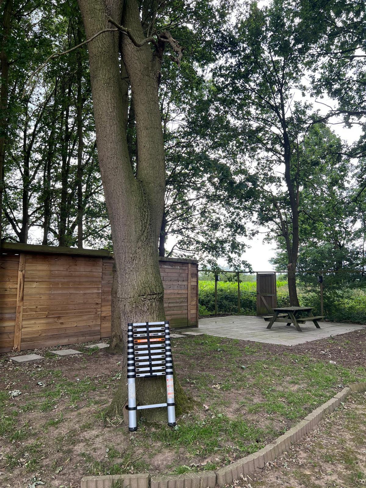 Te koop telescoop ladder, Ophalen, 2 tot 4 meter