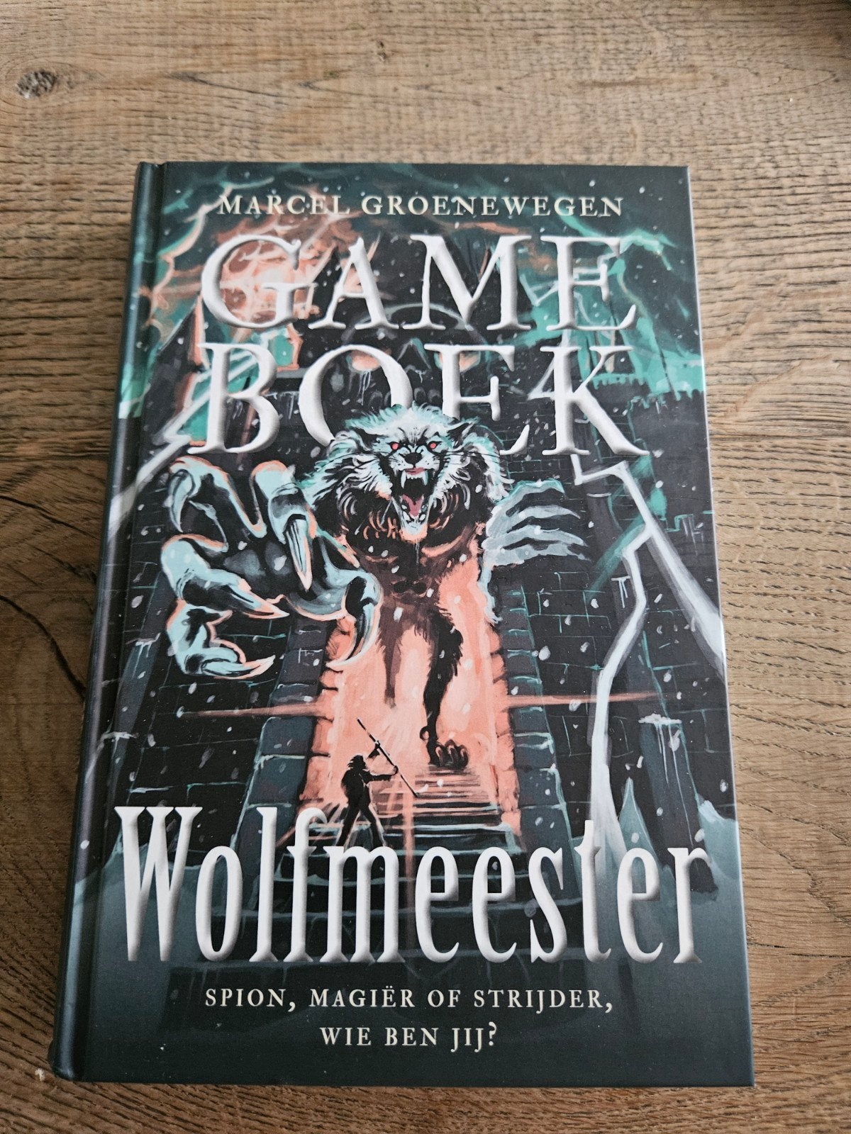Raveleijn, Wolfmeester, Kippenvel - Boekenpakket, Ophalen of Verzenden, Gelezen, Paul van Loon, Marcel Groenewegen, R.L. Stine