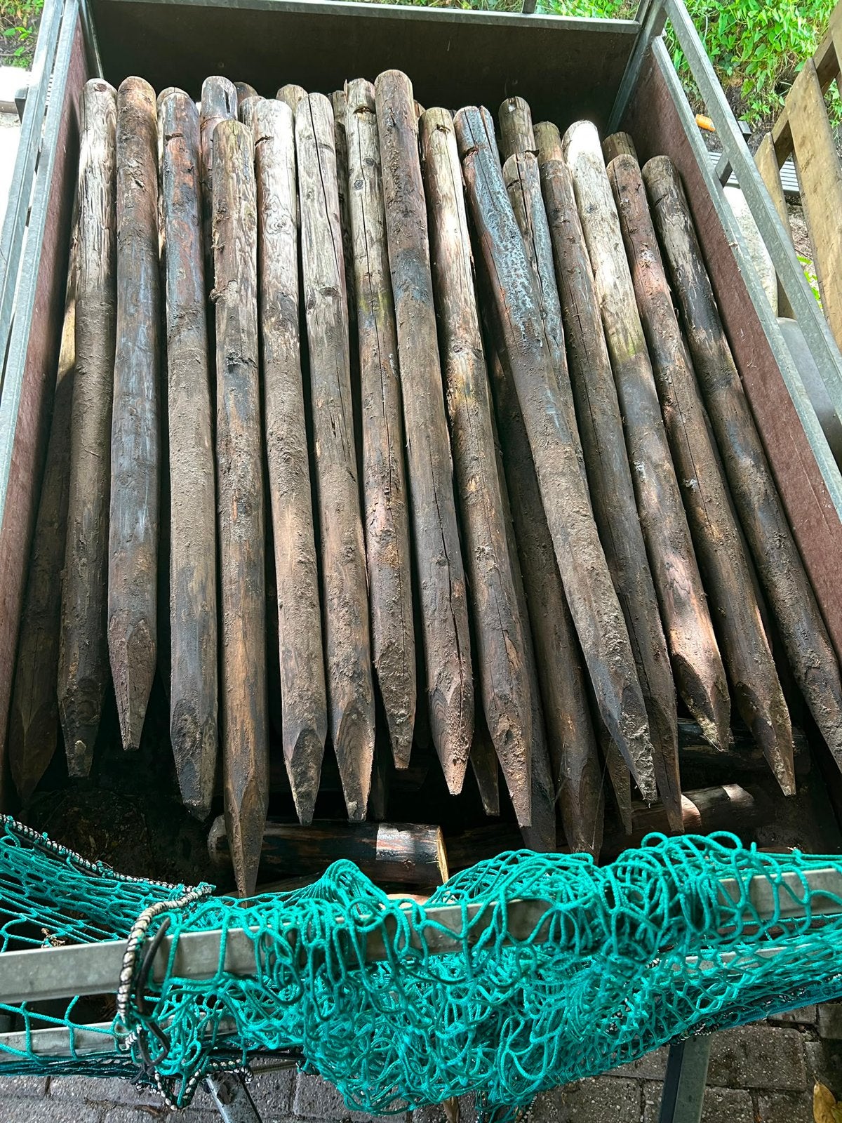 Gebruikte weidepalen / afrasteringspalen 55 stuks, Ophalen, Gebruikt, Minder dan 180 cm, Palen