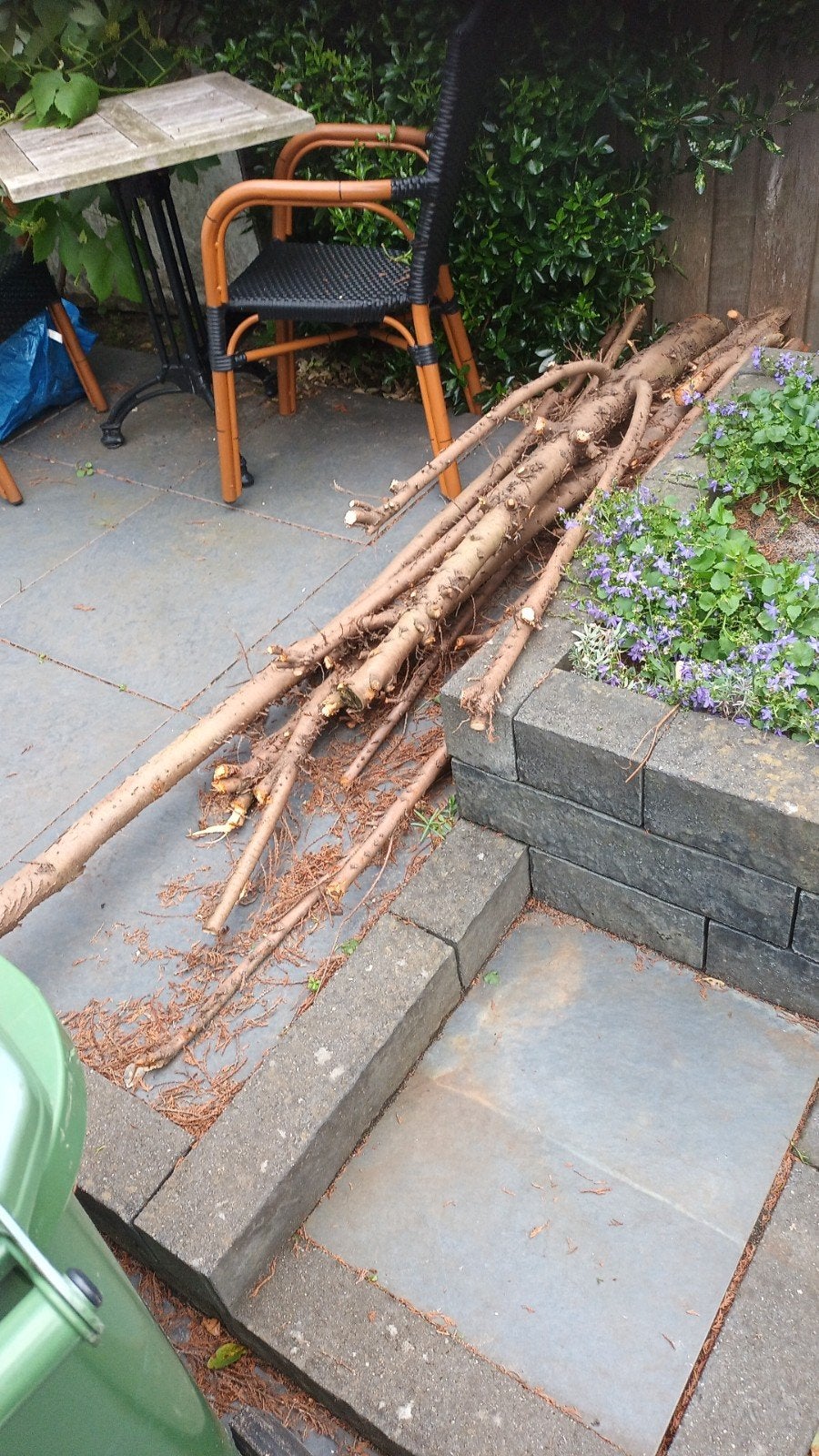 Gratis hout ophalen - Stammen en takken, Tuin en Terras, Minder dan 3 m³, Ophalen