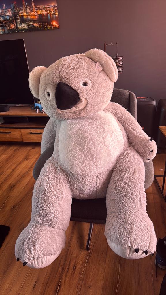 Mis gustaw hele grote koala knuffelbeer, Ophalen, Overige merken, Overige karakters, Overige typen