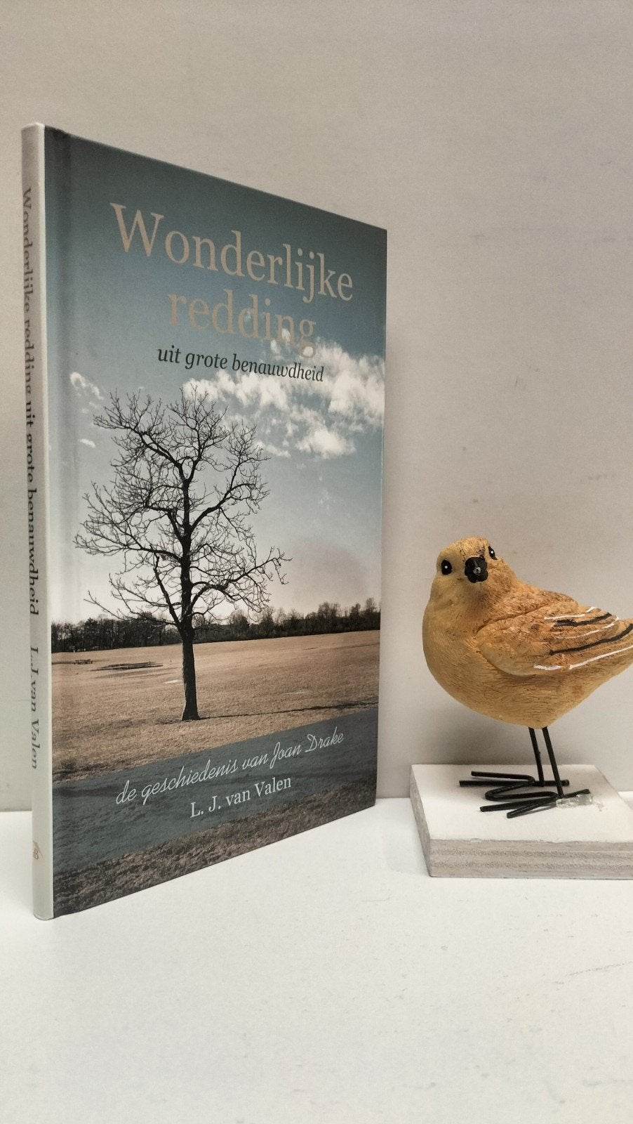 Valen, L.J. van; Wonderlijke redding uit grote benauwdheid, Ophalen of Verzenden, Gelezen, Christendom | Protestants