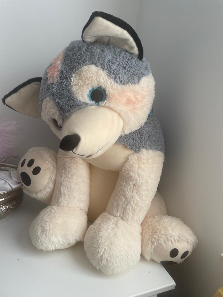 Grote zachte husky knuffel - Zo goed als nieuw, Grijs, Zo goed als nieuw, Middelgroot (20 tot 80 cm), Hond