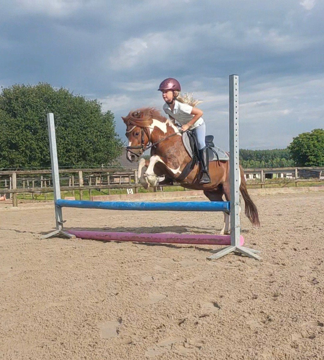 Lieve, veelzijdige 8 jarige A-pony zoekt een 5-️ huis, B, Springpony, A pony (tot 1.17m), 7 tot 10 jaar
