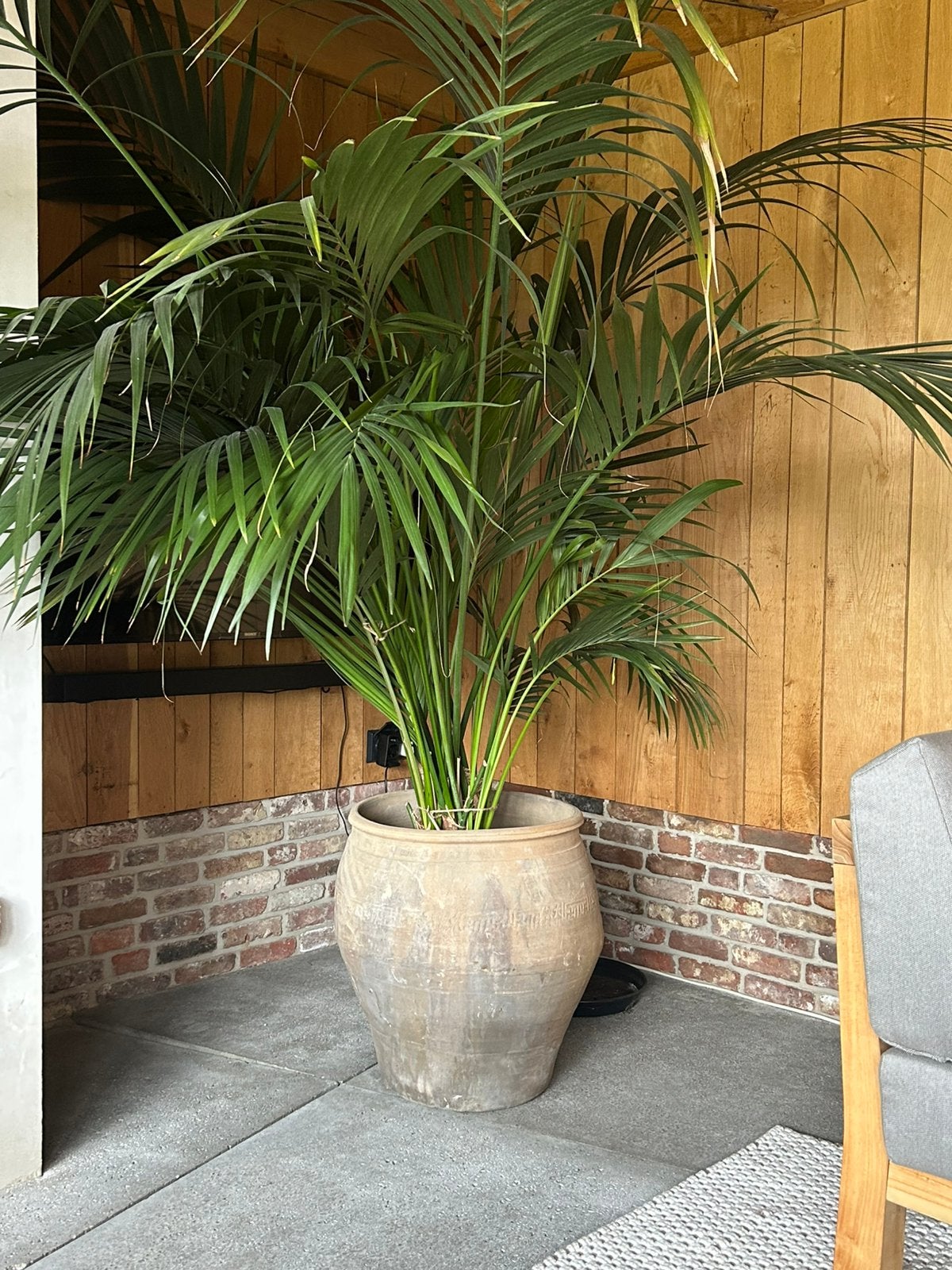 Antieke oude pot kruik bloempot vaas palm kamerplant, Ophalen of Verzenden, Overige kleuren
