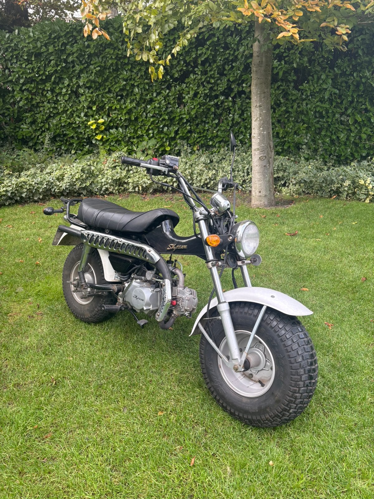 Skyteam t-rex 125cc (grote honda dax), Fietsen en Brommers, Ophalen, Gebruikt, Overige modellen, 125 cc