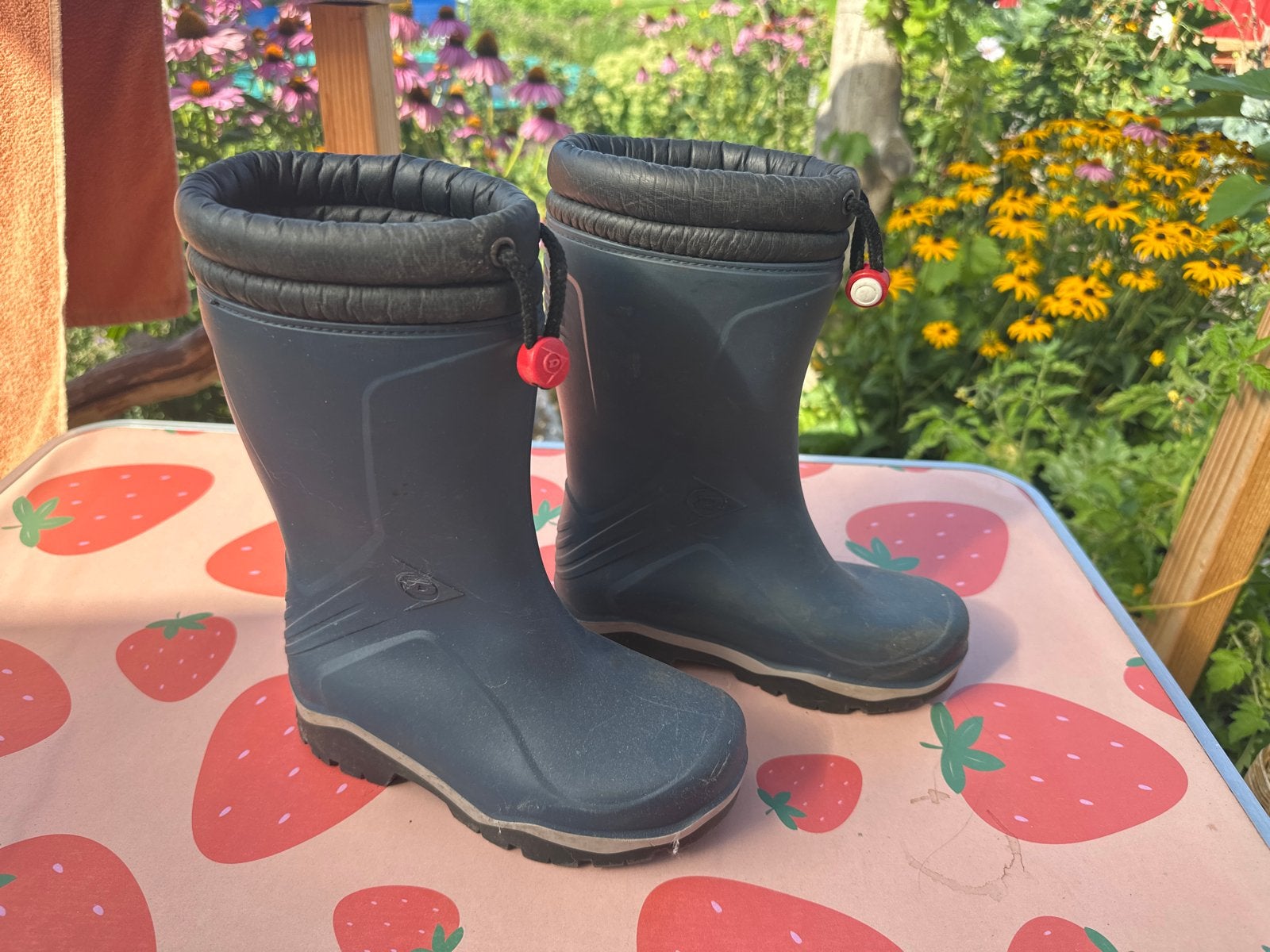 Dunlop gevoerde regenlaarzen maat 33 - zo goed als nieuw, Jongen of Meisje, Ophalen of Verzenden, Laarzen, Zo goed als nieuw