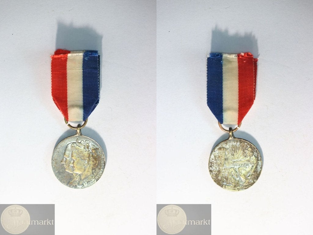 Draagpenning 1909 'Geboorte Prinses Juliana', Ophalen of Verzenden, Brons, Nederland