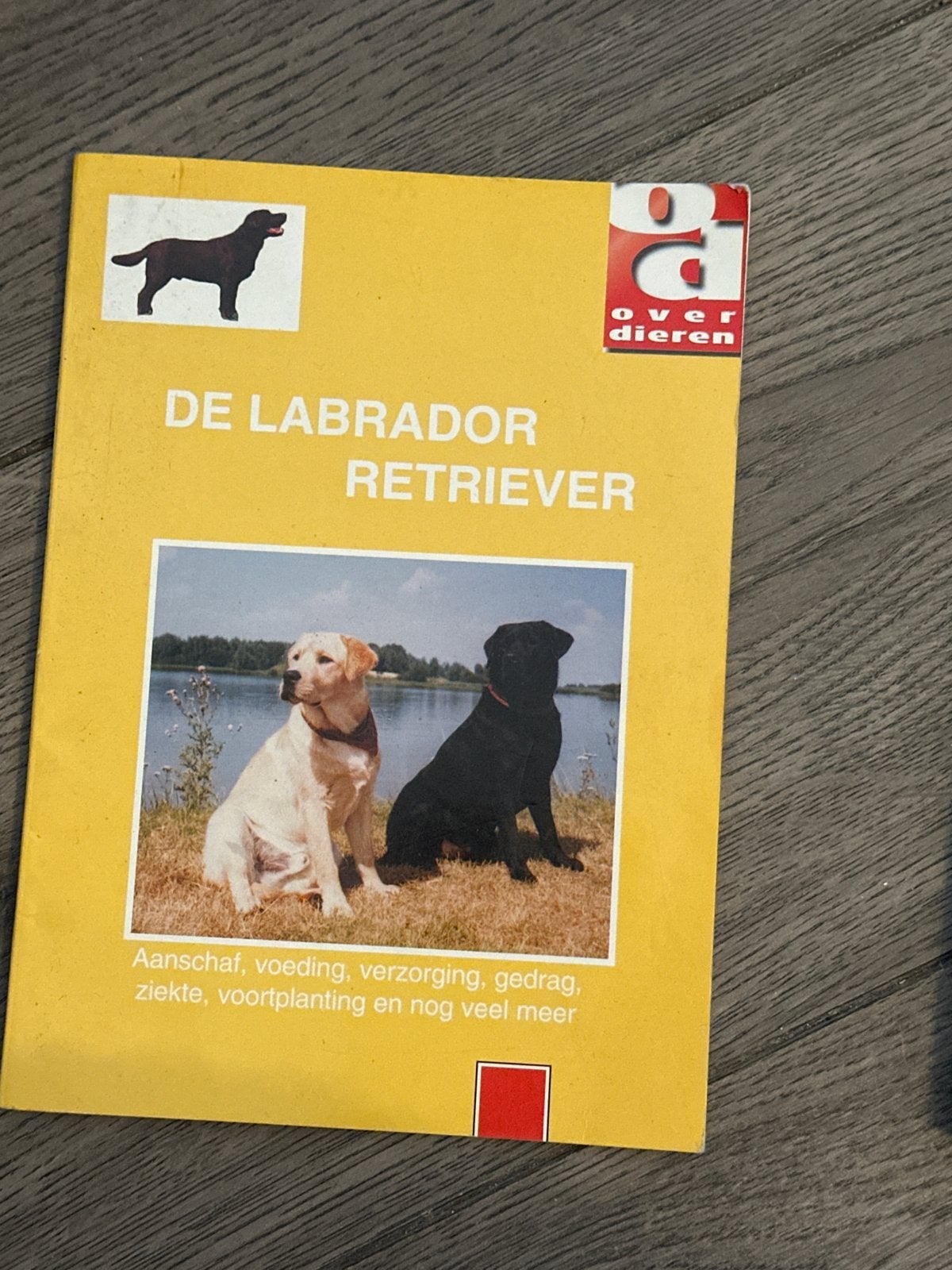De Labrador retriever, Ophalen of Verzenden, Zo goed als nieuw, Honden
