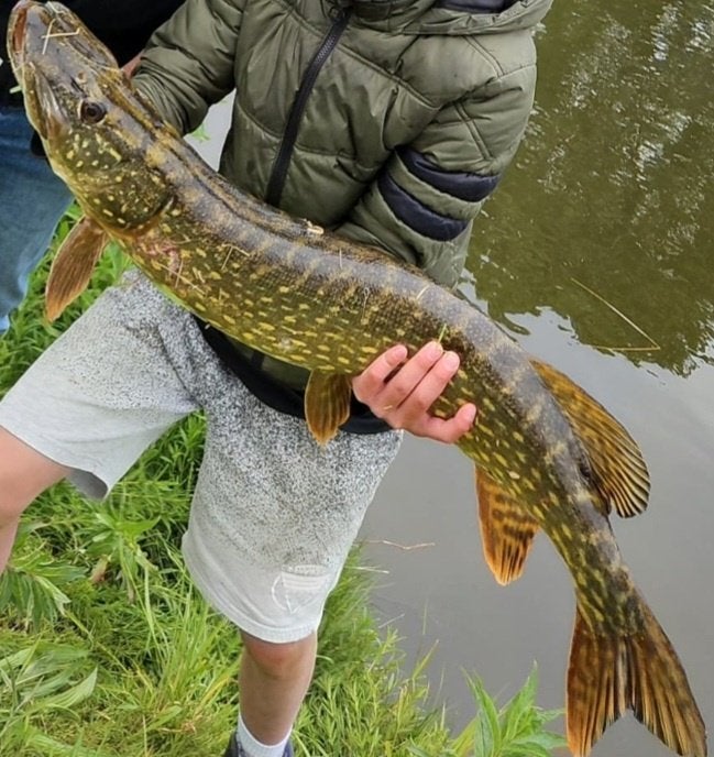 Help deze jongen visser met uw oude visspullen, Ophalen of Verzenden, Nieuw, Overige typen
