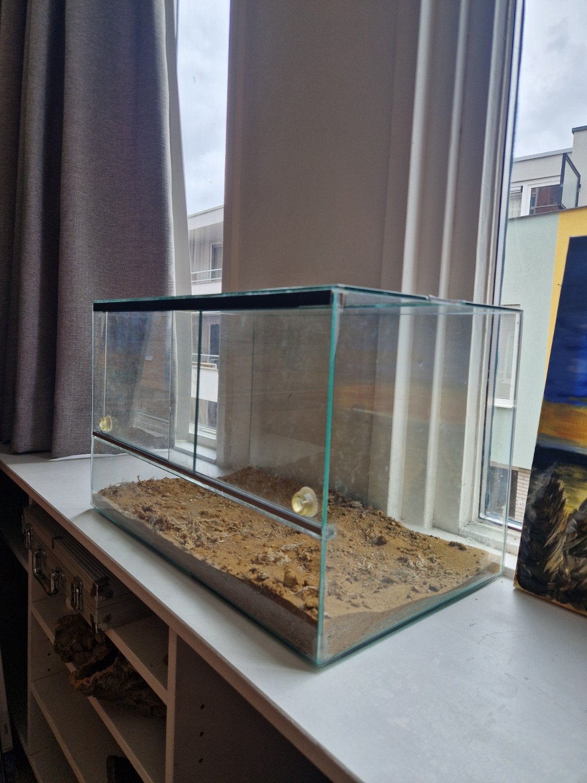 Terrarium 50x30cm, Dieren en Toebehoren, Reptielen en Amfibieën | Toebehoren, Ophalen, Zo goed als nieuw, Terrarium of Paludarium