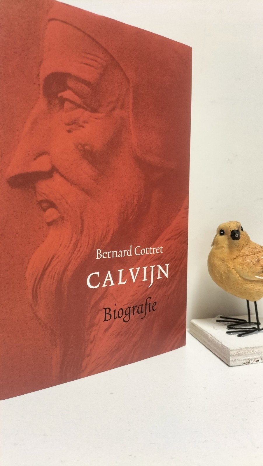 Cottret, Bernard; Calvijn (biografie), Ophalen of Verzenden, Gelezen, Christendom | Protestants