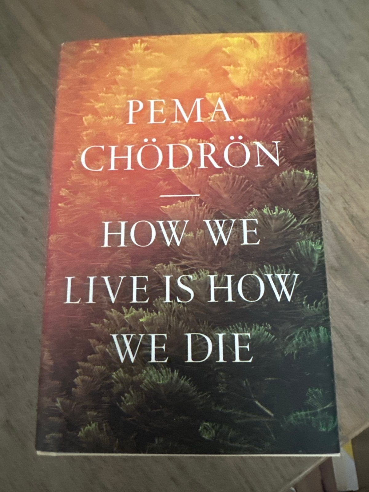 How We Live Is How We Die - Pema Chödrön (Engels), Boeken, Ophalen, Zo goed als nieuw, Spiritualiteit algemeen, Achtergrond en Informatie