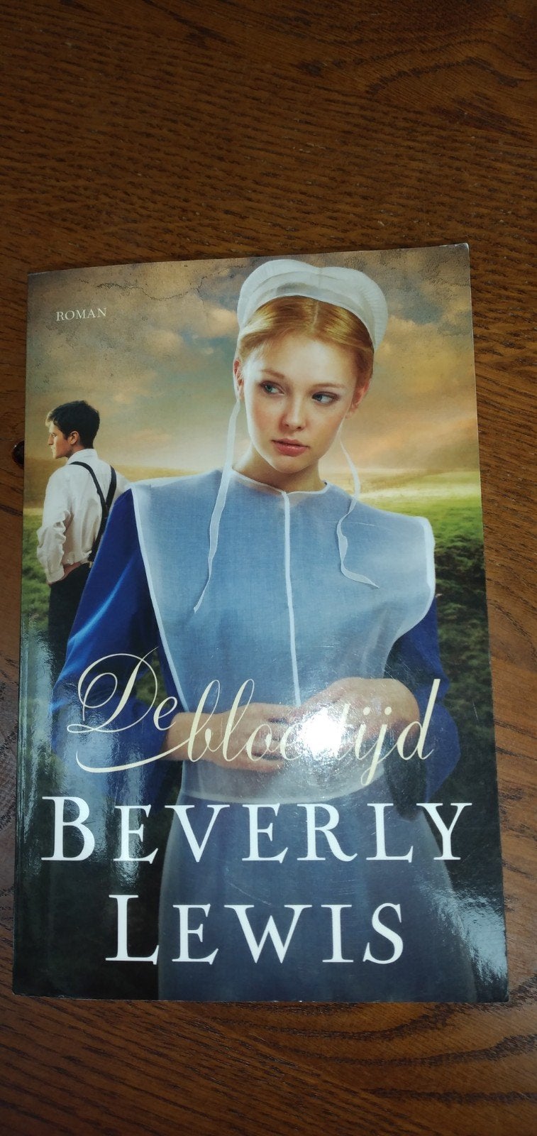 Beverly lewis, De Bloeitijd, Boeken, Ophalen of Verzenden, Zo goed als nieuw, Beverly Lewis, Amerika