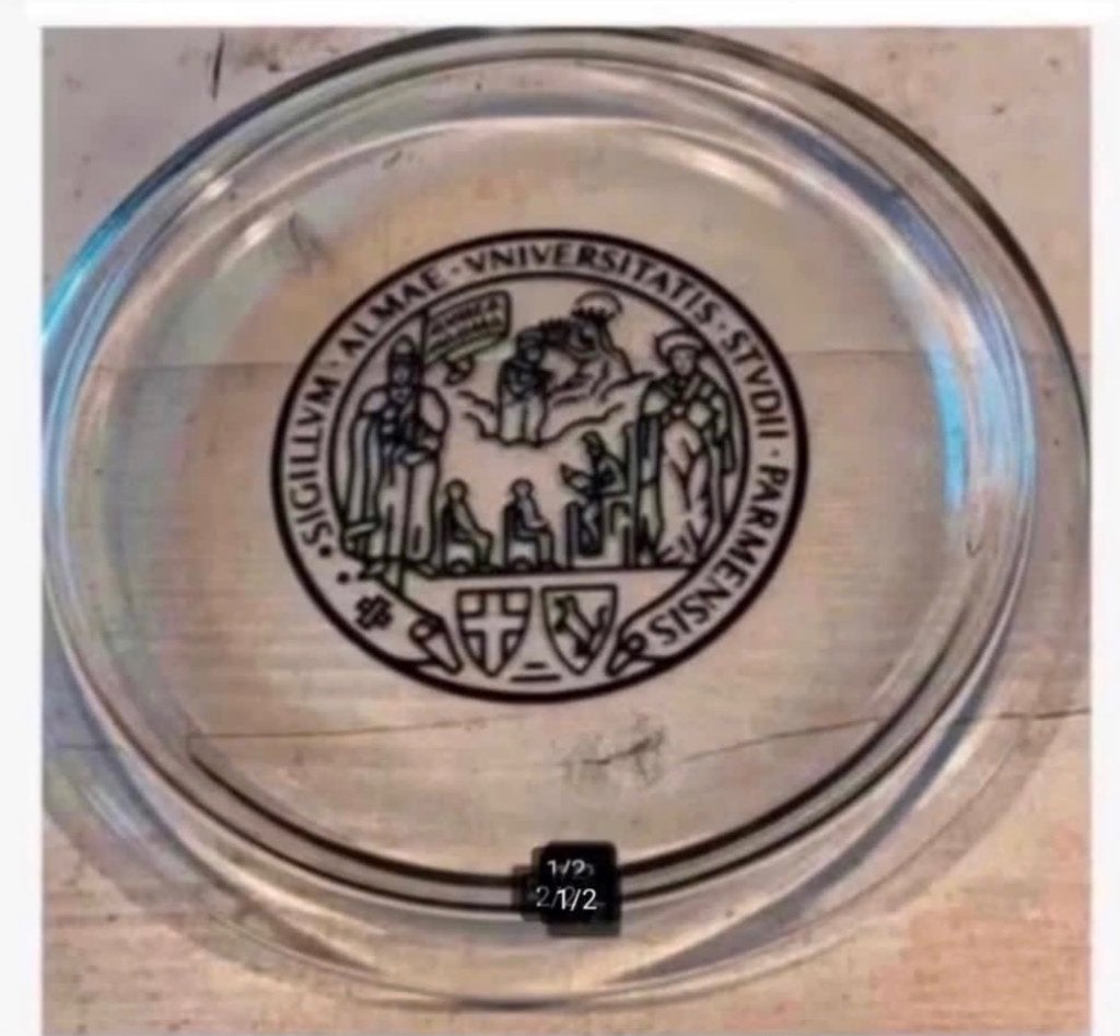 Antiek glazen bord “universitatis” 24 cm, Ophalen of Verzenden, Overige typen