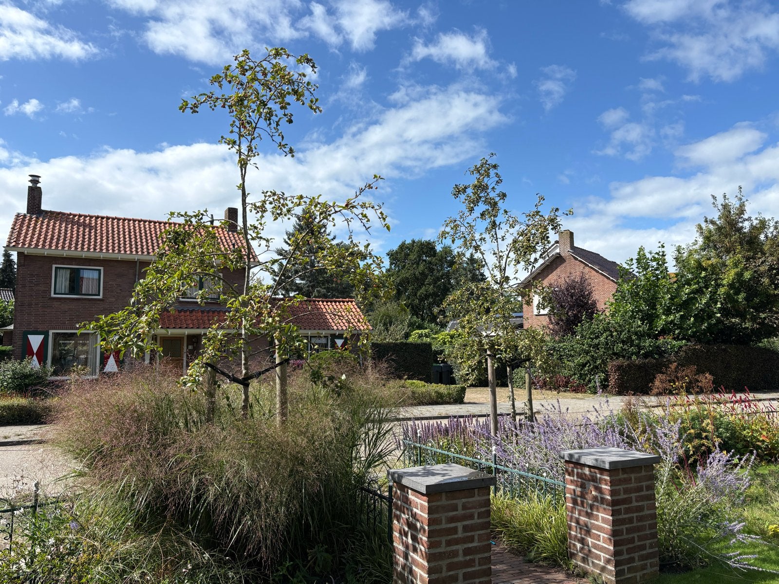 Twee sierappelbomen, 8 jaar oud, Tuin en Terras, Volle zon, Lente, 250 tot 400 cm, Overige soorten