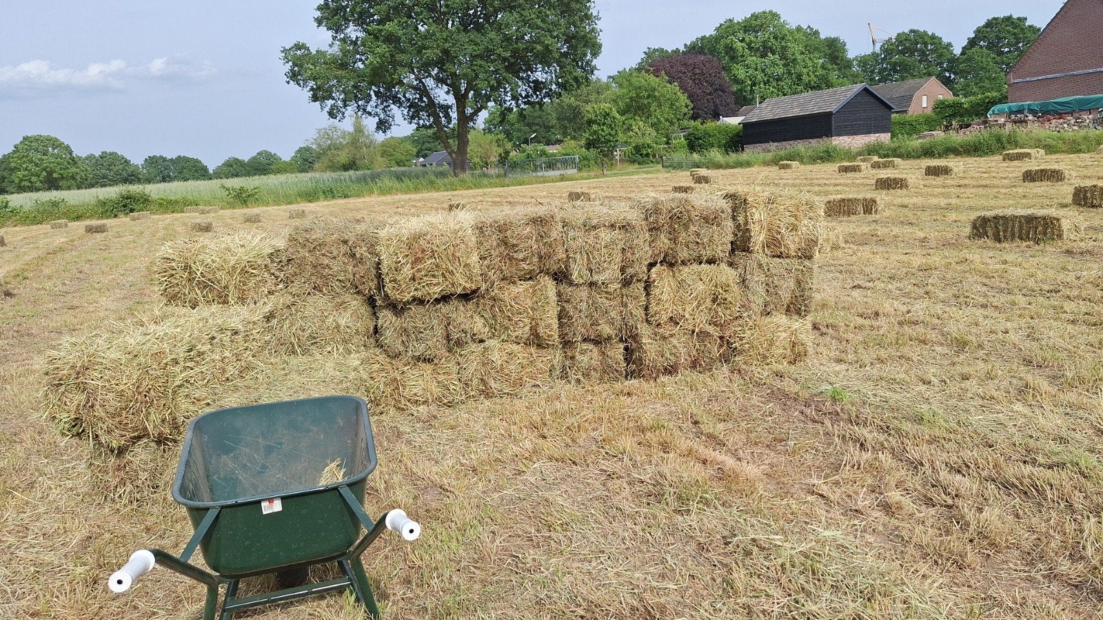 Kleine pakjes.hooi, Ophalen