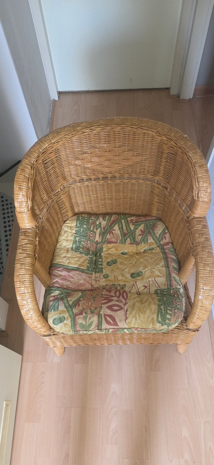 2 Rotan stoelen met kussens, Ophalen, Gebruikt, Twee, Overige kleuren