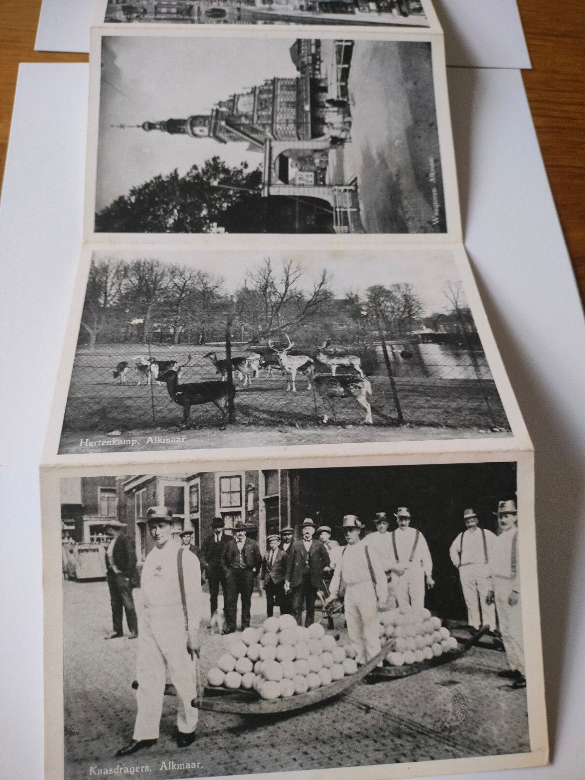 Uniek mapje met 11 historische foto's van Alkmaar, Gebruikt, Foto, Ophalen of Verzenden, Voor 1940