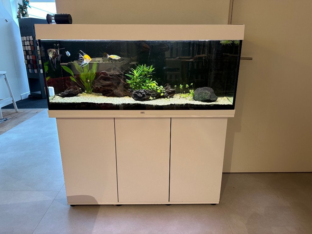 Juwel Rio 240 LED wit – zeer complete set, Gebruikt, Ophalen of Verzenden, Gevuld zoetwateraquarium, Inclusief vissen