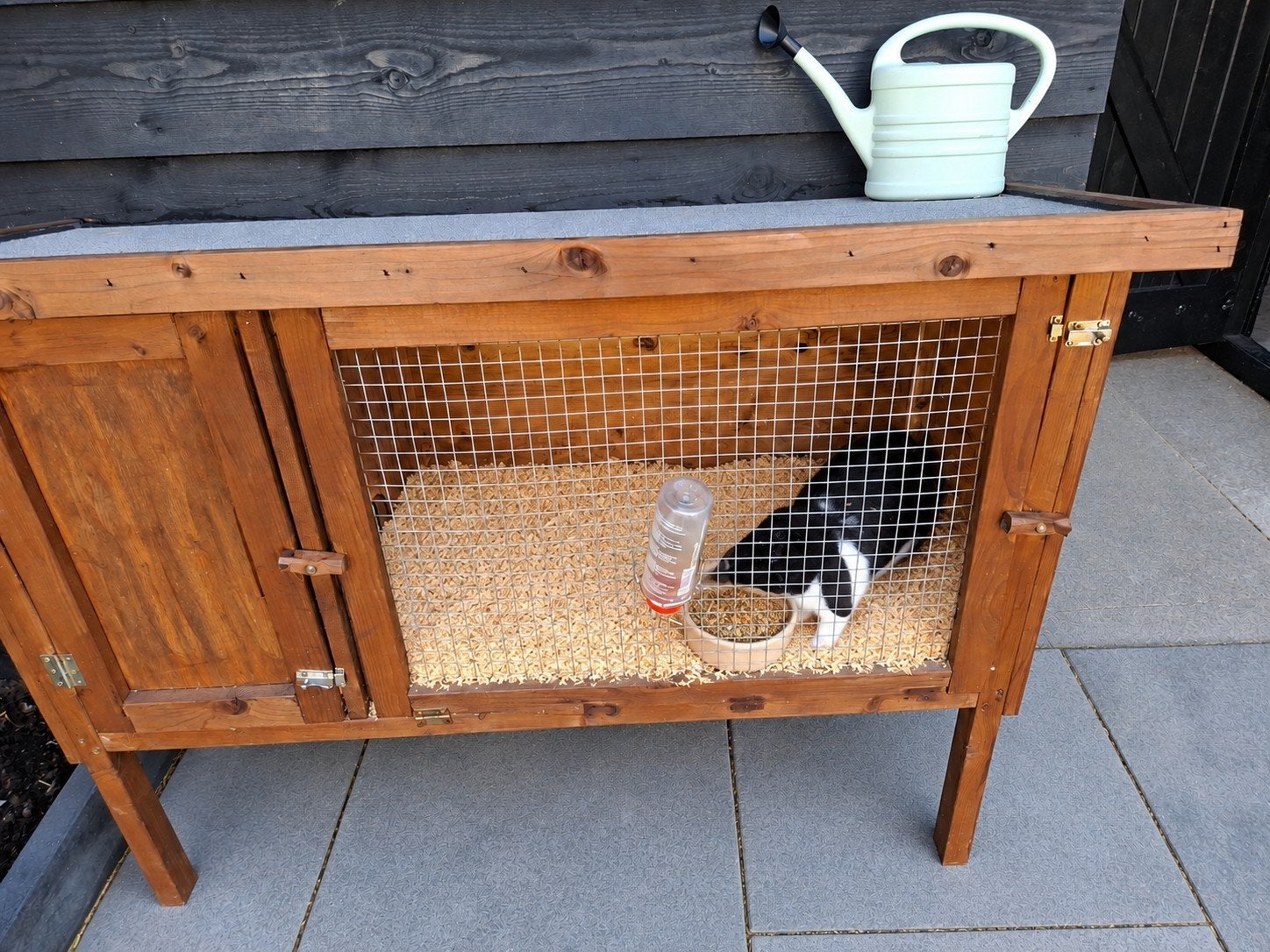 konijn met konijnenhok + bijnodigdheden, Dieren en Toebehoren, Ophalen, 110 cm of meer, 90 cm of meer, Konijn