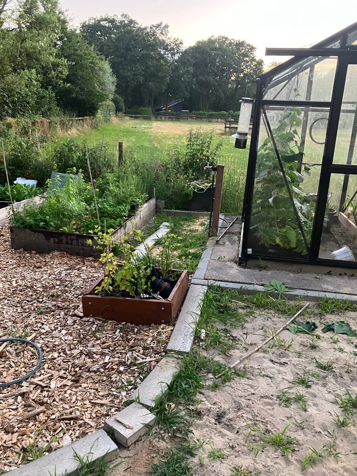 Makkelijke moestuin mini houten bak startpakket, Ophalen, Overige materialen, Zo goed als nieuw, Overige materialen