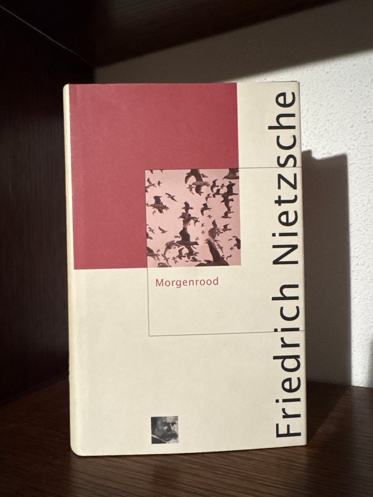 Morgenrood - Friedrich Nietzsche (Filosofie), Boeken, Ophalen of Verzenden, Zo goed als nieuw, Nederland
