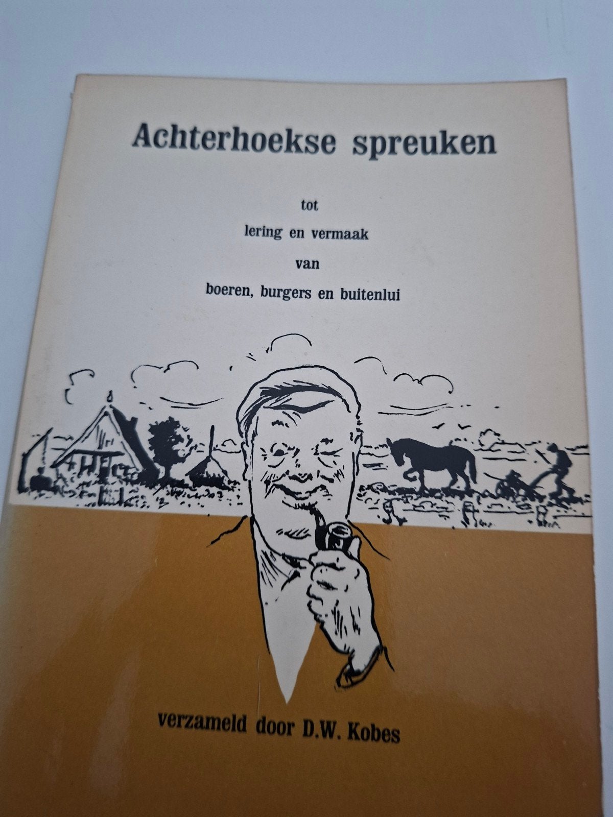 Achterhoekse spreuken: lering en vermaak, Ophalen of Verzenden, Gelezen, D.W. Kobes, Nederland