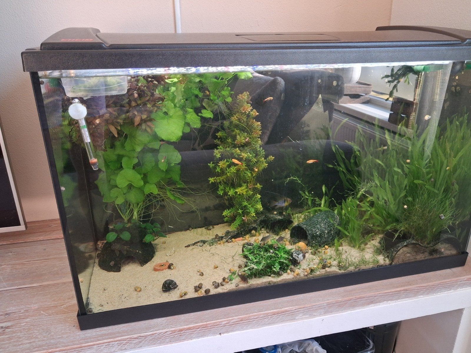 aquarium + toebehoren aangeboden, Dieren en Toebehoren, Ophalen, Overige typen