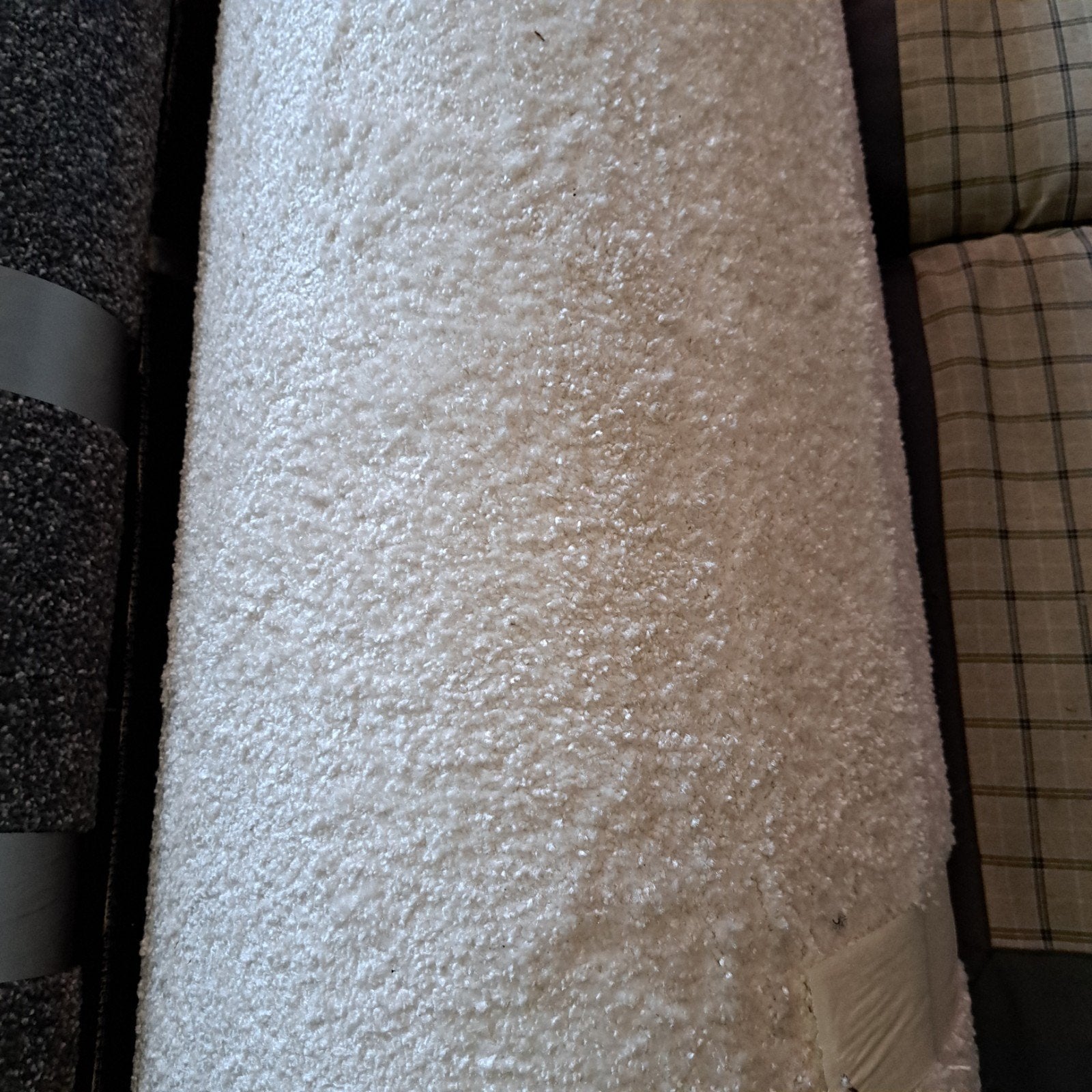 Cosy Touch Velours Frise Effen Tapijt - 400 cm breed, Ophalen, Crème, 200 cm of meer, Rechthoekig