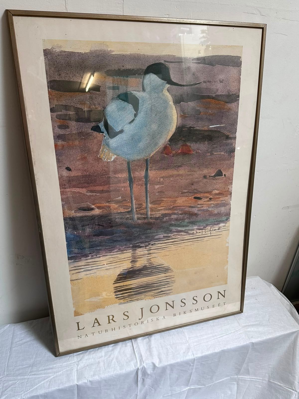 Schilderij poster vogel kluut Lars Jonsson, Ophalen, Nvt, Nvt, Schilderij