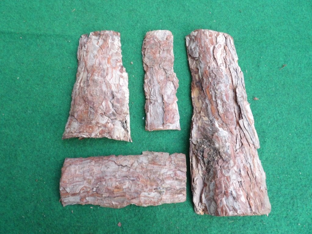 NIEUW 4 mooie grote droge stukken HOUTSCHORS ( 2 ), Ophalen of Verzenden, Nieuw, Knutselwerk