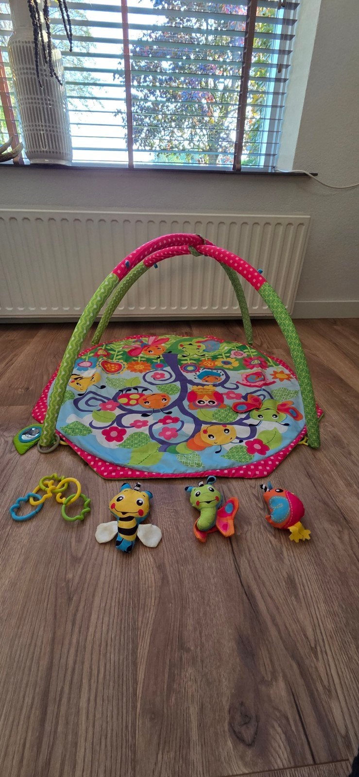 Playgro Bugs 'n' Bloom Baby Activiteiten Speelkleed, Ophalen of Verzenden, Zo goed als nieuw, Babygym