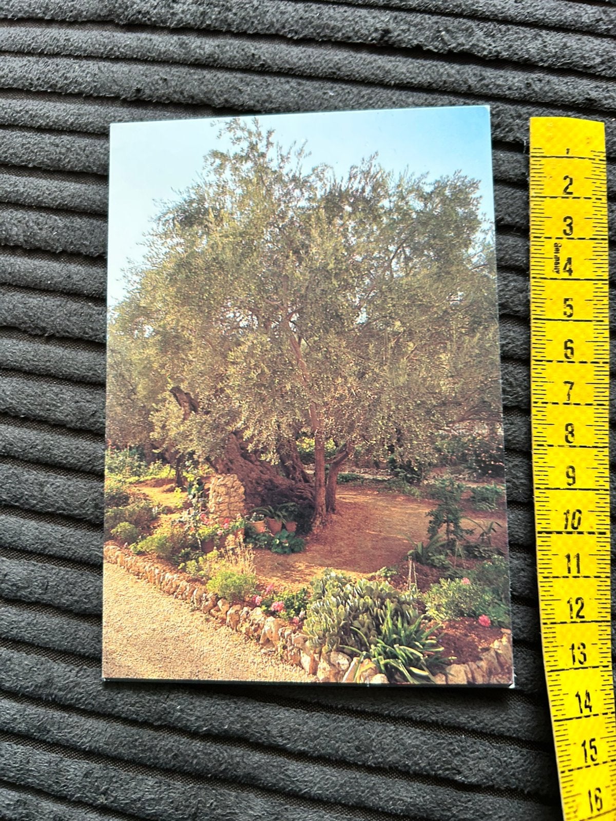 352. Kaart Jerusalem garden of gethsemanne, Ophalen of Verzenden, 1980 tot heden