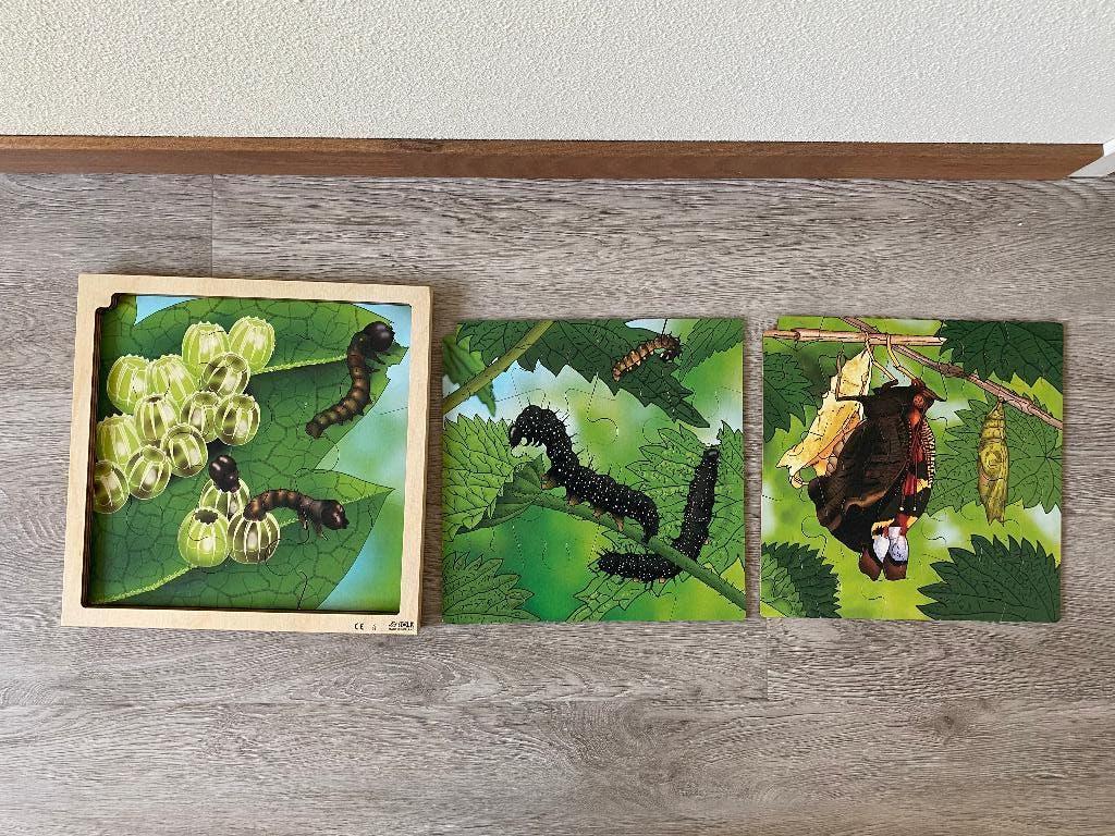 Rolf lagenpuzzel, Kinderen en Baby's, Speelgoed | Houten speelgoed, Gebruikt, Ophalen of Verzenden