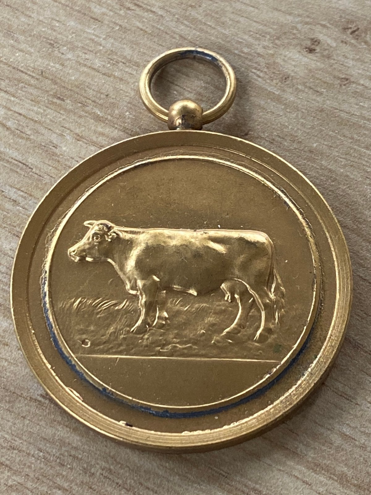 Medailles vee koeien Landbouw Tentoonstelling Axel 1952, Ophalen of Verzenden, Staal, Overige merken
