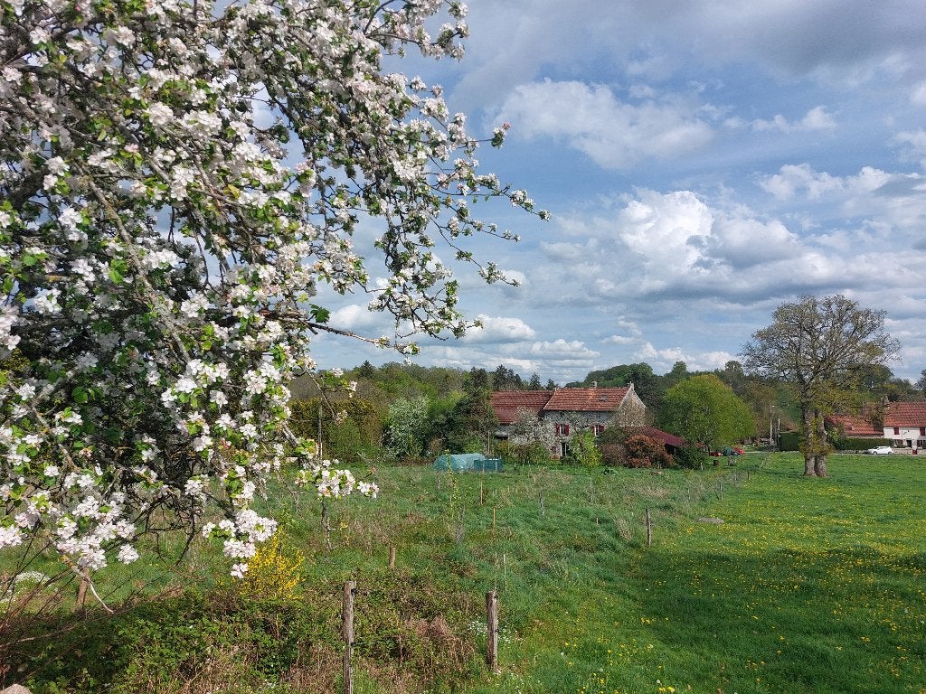 Prachtige woonboerderij met B&B mogelijkheden in de Creuse, Huizen en Kamers, Huizen te koop, 10 kamers, Vrijstaande woning, Utrecht