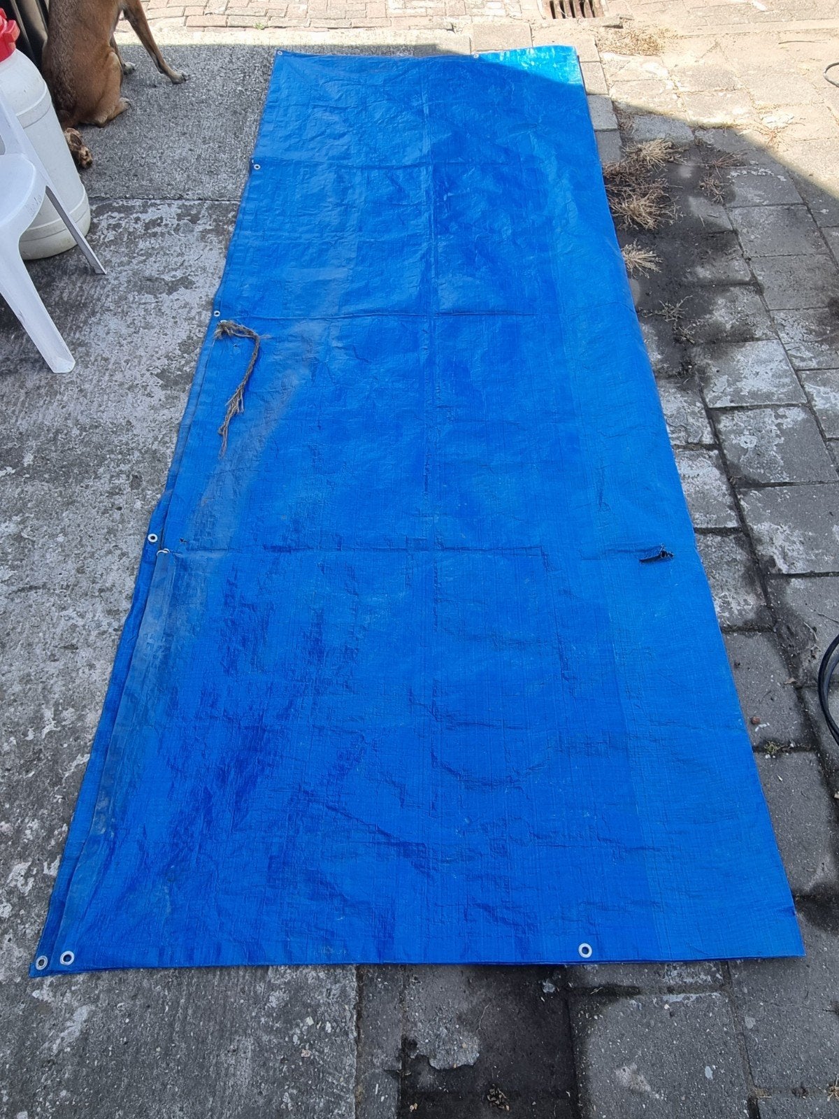 Blauw afdekzeil - Gebruikt maar functioneel, Ophalen, Gebruikt, 10 tot 15 m², Zeil