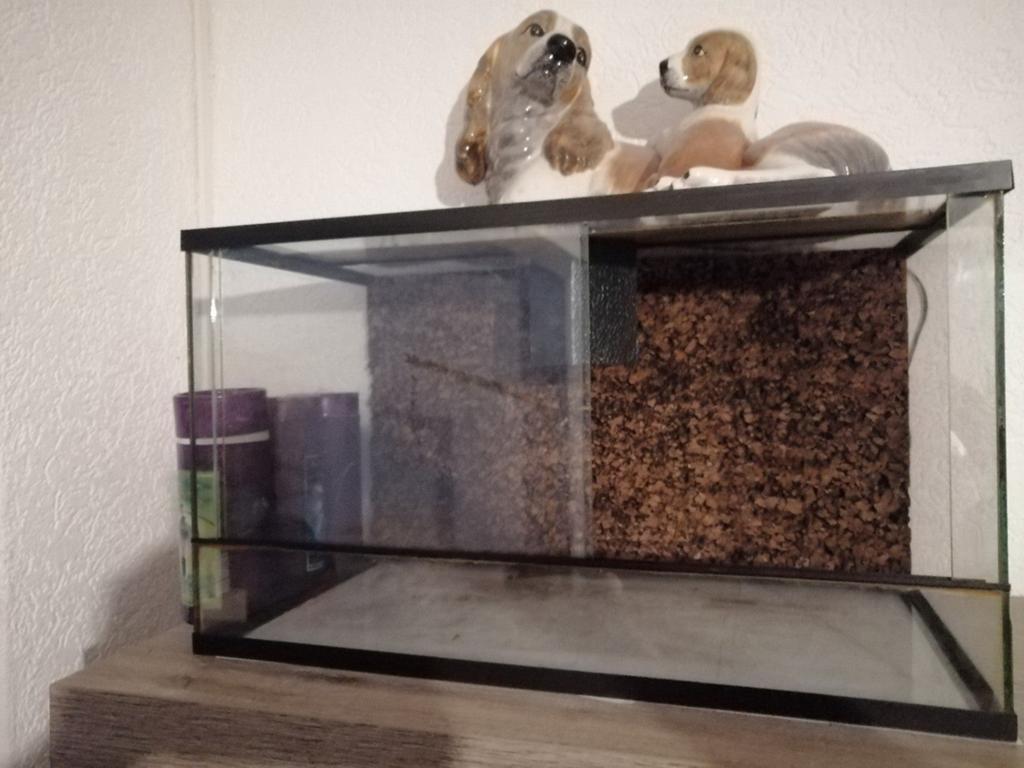 Terrarium, Ophalen