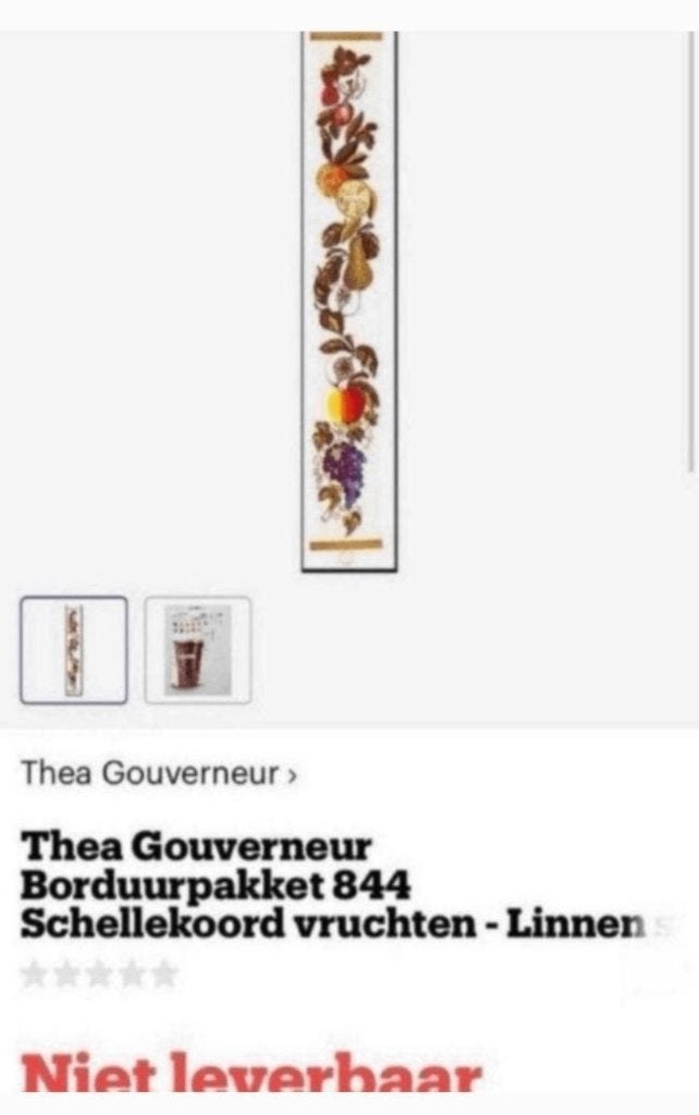 BORDUURPATROON THEA GOUVERNEUR SCHELLEKOORD FRUIT, Ophalen of Verzenden, Zo goed als nieuw, Handborduren, Patroon