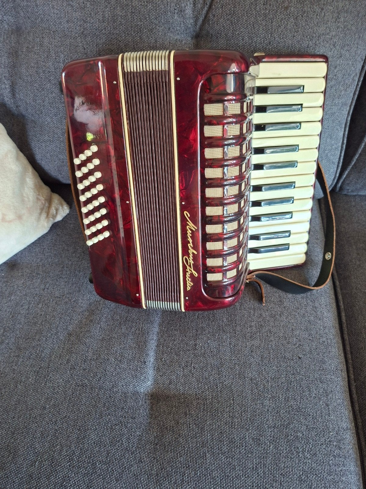Mooie rode accordeon met koffer, Overige merken, Gebruikt, Overige formaten, Met koffer