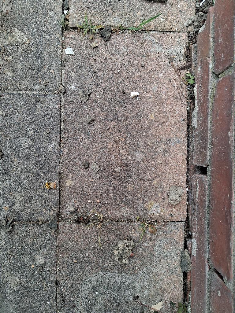 Gratis: terrastegels, Ophalen, Gebruikt, 5 tot 10 m², Beton