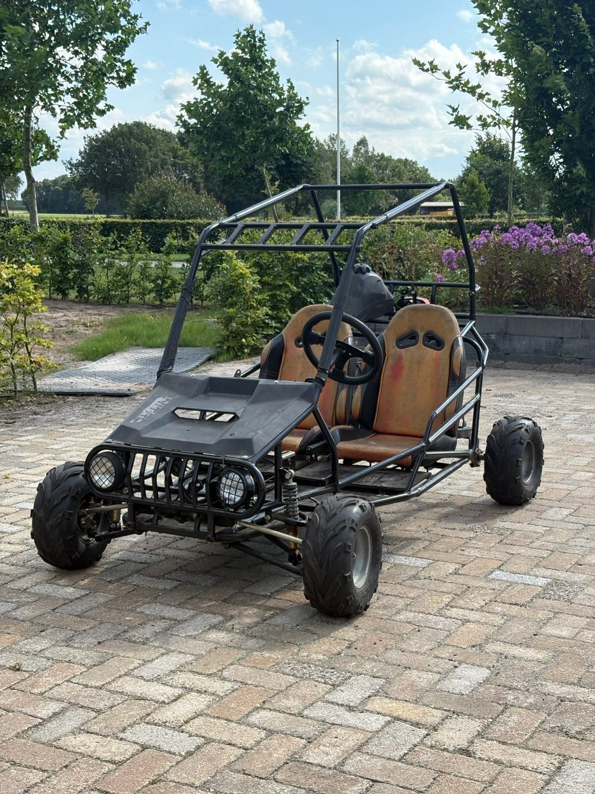 Leuke Buggy voor plezier op eigen terrein, Sport en Fitness, Ophalen, Gebruikt, Kart