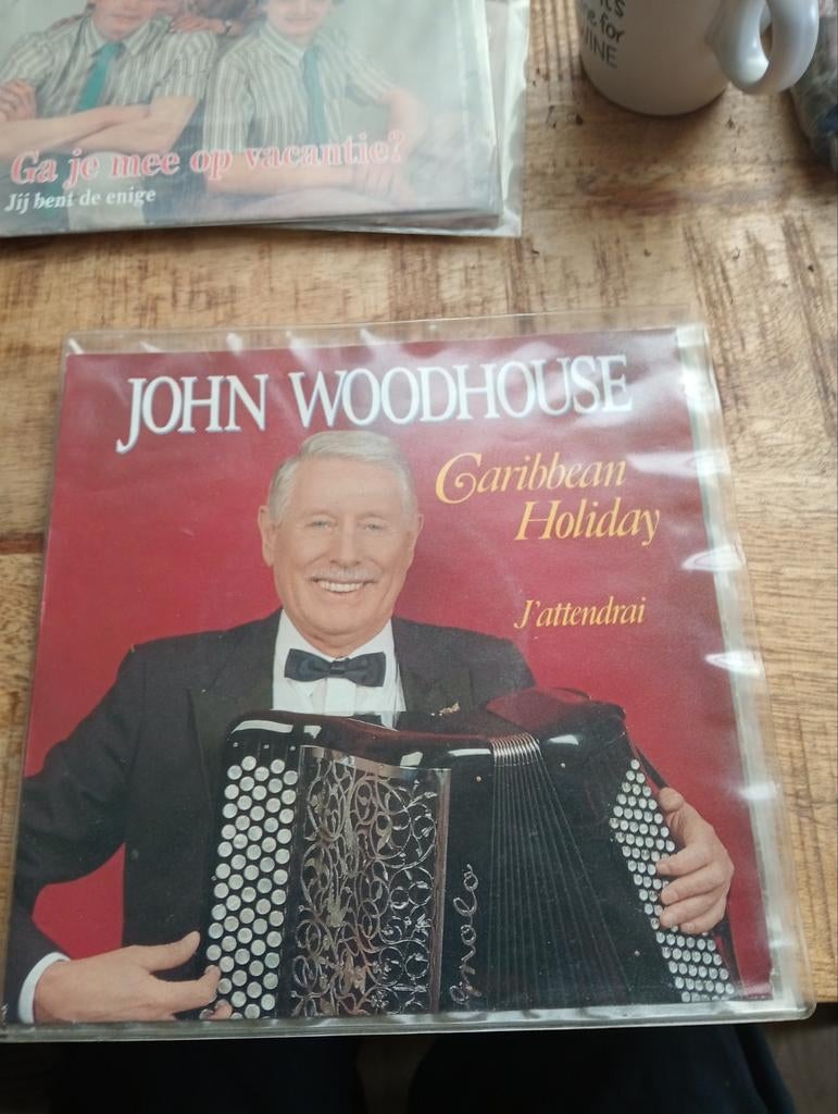 John woodhouse - Caribbean holiday, Cd's en Dvd's, Vinyl Singles, Ophalen of Verzenden, Zo goed als nieuw, Pop